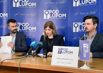 Initial Findings from the Field Indicate Recurrent Irregularities and a Slight Increase in Voter Turnout